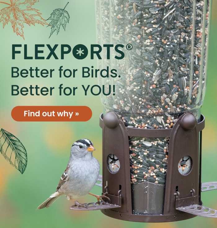 Flexports: Better for Birds. Better for YOU! | Find Out Why 