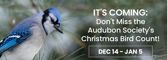 It's Coming: Don't Miss the Audubon Society's Christmas Bird Count! | December 14 - January 5