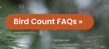 Bird Count FAQs 