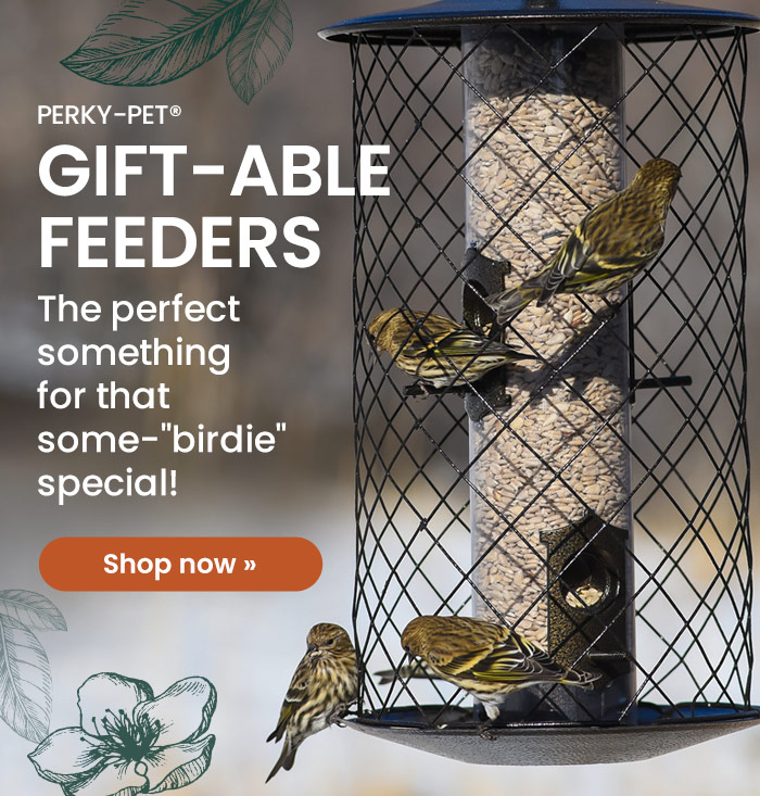 Perky-Pet Gift-able Feeders: The perfect something for that some-"birdie" special! | Shop Now 