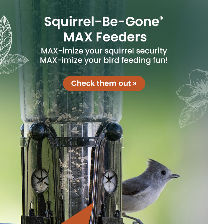 Squirrel-Be-Gone MAX Feeders: MAX-imize your squirrel security, MAX-imize your bird feeding fun! | Check Them Out 