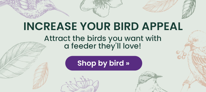 Increase Your Bird Appeal: Attract the birds you want with a feeder they'll love! | Shop By Bird 