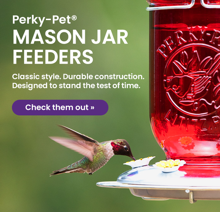 Perky-PetMason Jar Feeders: Classic style. Durable construction. Designed to stand the test of time. | Check Them Out 