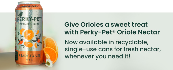 Give Orioles a Sweet Treat with Perky-Pet Oriole Nectar
Now available in recyclable, single-use cans for fresh nectar, whenever you need it! | Shop Now 