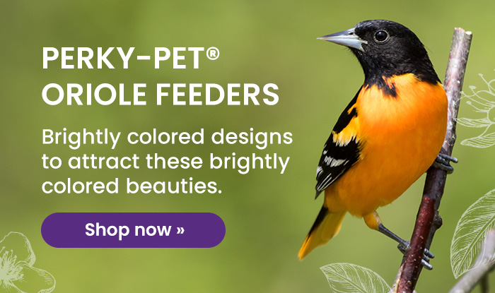 Perky-Pet Oriole Feeders: Brightly colored designs to attract these brightly colored beauties. | Shop Now 
