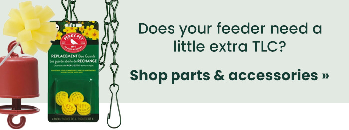 Does Your Feeder Need a Little Extra TLC? | Shop Parts & Accessories 