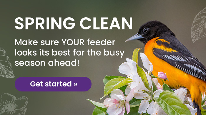 Spring Clean: Make sure YOUR feeder looks its best for the busy season ahead! | Get Started 