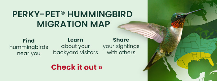 Perky-Pet Hummingbird Migration Map:
Find hummingbirds near you  Learn about your backyard visitors  Share your sightings with others | Check It Out 
