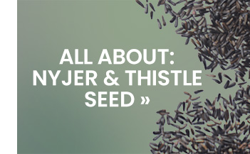 All About: Nyjer & Thistle Seed 