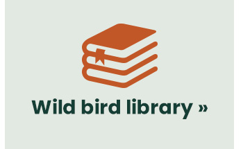 Wild Bird Library 