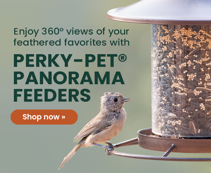 Enjoy 360 views of your feathered favorites with Perky-Pet Panorama Feeders | Shop Now 