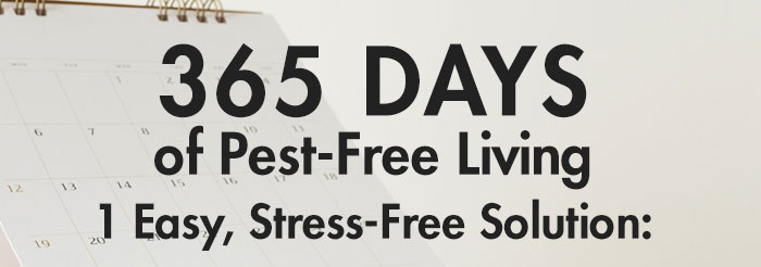 Se eee 365 DAYS of Pest-Free Living d Easy, Stress-Free Solution: 