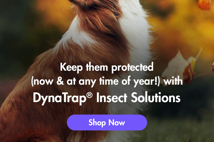 Keep them protected now at any time of year! with DynaTrap Insect Solutions 