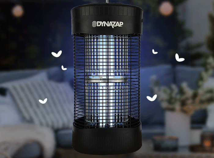 ⚡ ZZZZZAP To It Dyna Trap