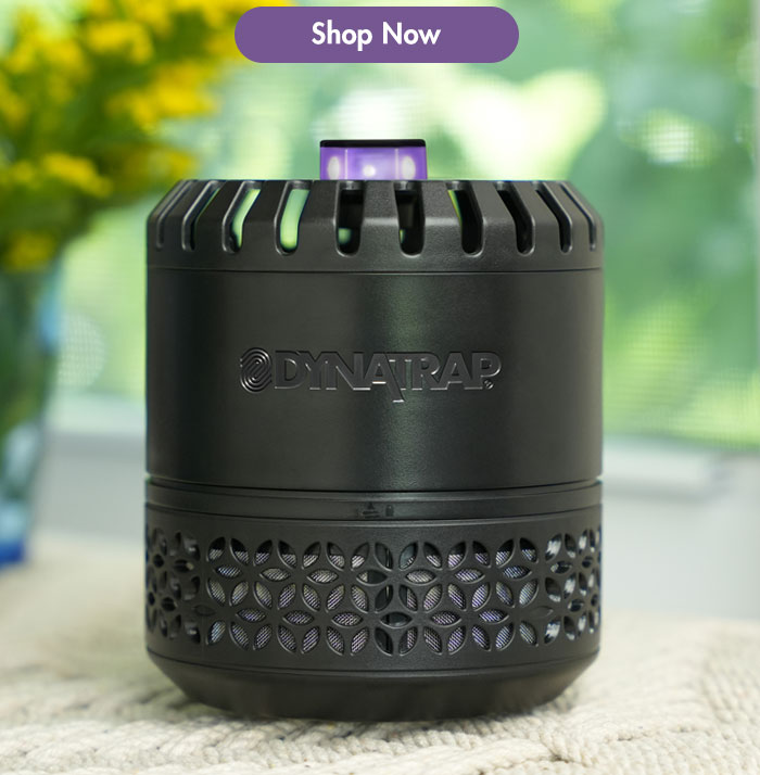 Dynatrap Indoor Insect Trap