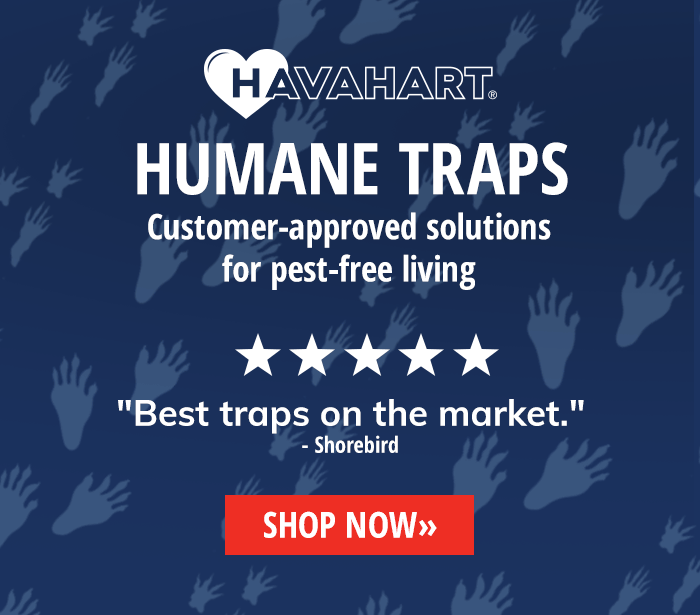 Havahart Humane Traps: Customer-approved solutions for pest-free living | Shop Now 
 "Best traps on the market." - Shorebird