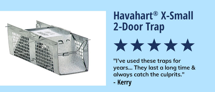 Havahart X-Small 2-Door Trap | Shop Now 
"5 Stars: I've used these traps for years... They last a long time & always catch the culprits." - Kerry