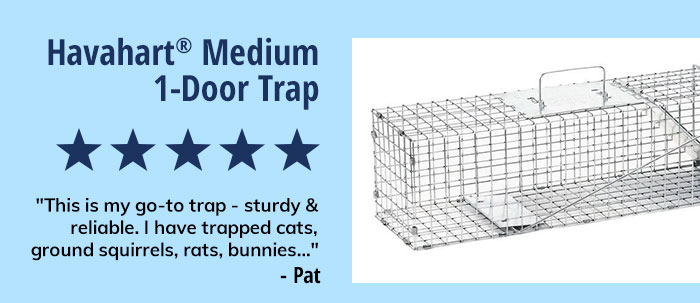 Havahart Medium 1-Door Trap | Shop Now 
"5 Stars: This is my go-to trap - sturdy & reliable. I have trapped cats, ground squirrels, rats, bunnies" - Pat