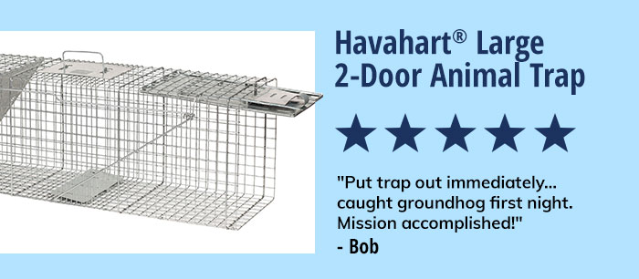 Havahart Large 2-Door Animal Trap | Shop Now 
"5 Stars: Put trap out immediately caught groundhog first night. Mission accomplished!" - Bob
