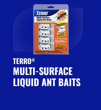 Terro Multi-Surface Liquid Ant Bait