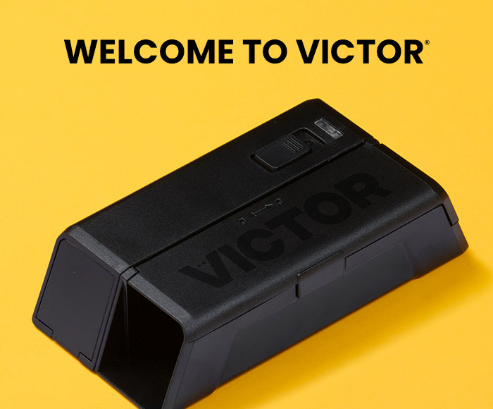 Welcome to Victor