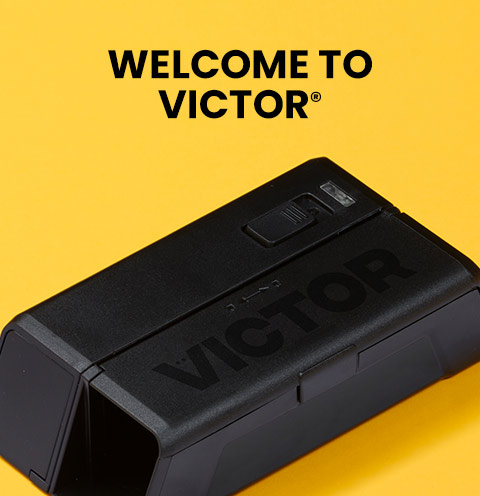 Victor® Smart-Kill™ WiFi Electronic Mouse Traps | SAVE 20%+!