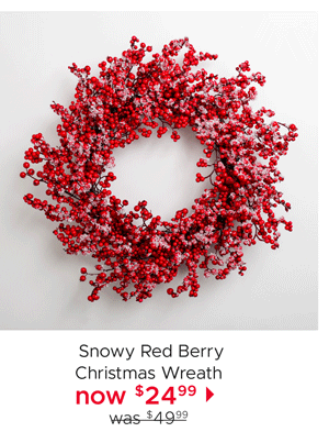 Snowy Red Berry Christmas Wreath