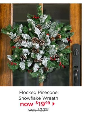 Flocked Pinecone Snowflake Wreath