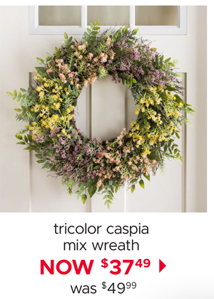 Tricolor Caspia Mix Wreath