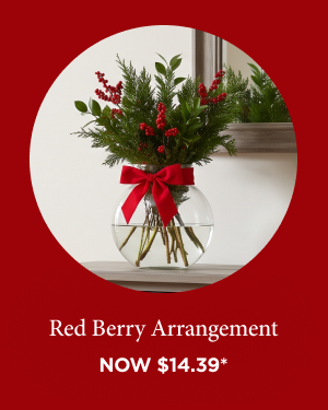 Red Berry Arrangement