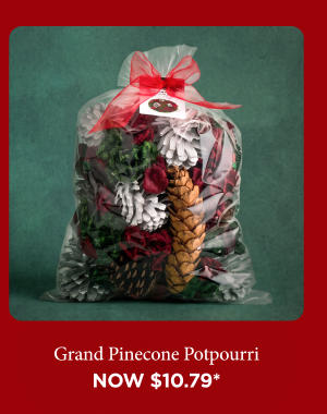Grand Pine Cone Potpourri