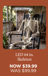 LED Skeleton