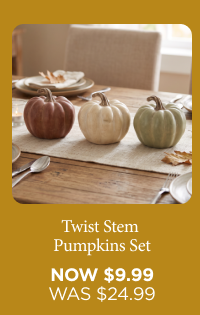 Twist Stem Pumpkins Set