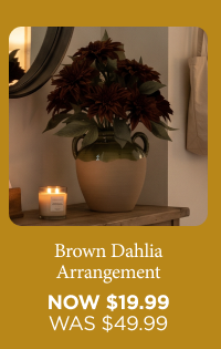 Brown Dahlia Arrangement
