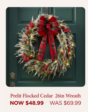 Prelit Flocked Cedar Wreath
