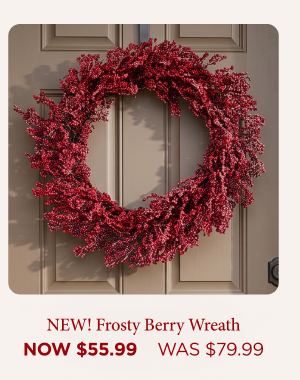 Frosty Berry Wreath