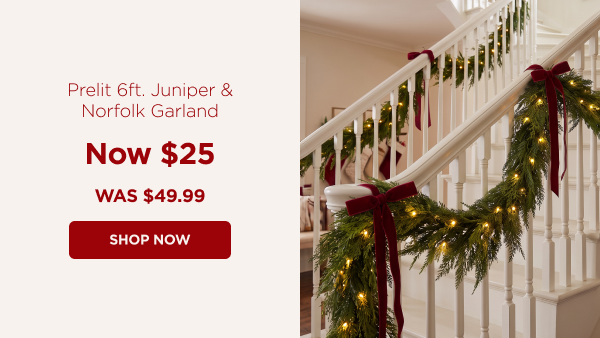 Prelit Garland