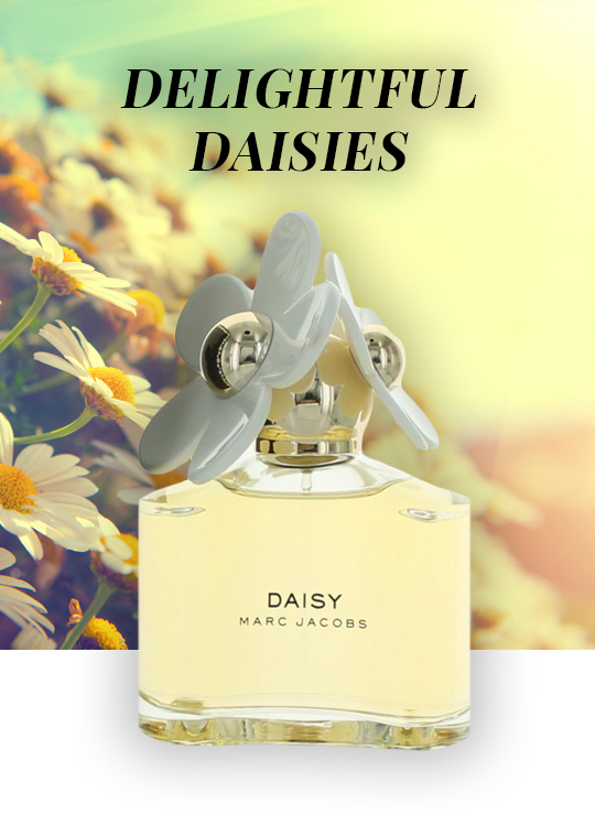 Delightful Daisies