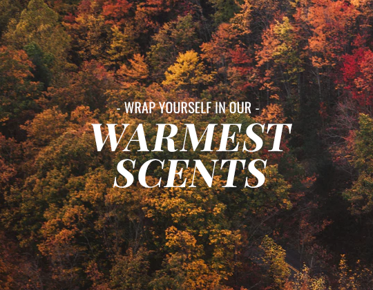 WRAP YOURSELF IN OUR WARMEST SCENTS