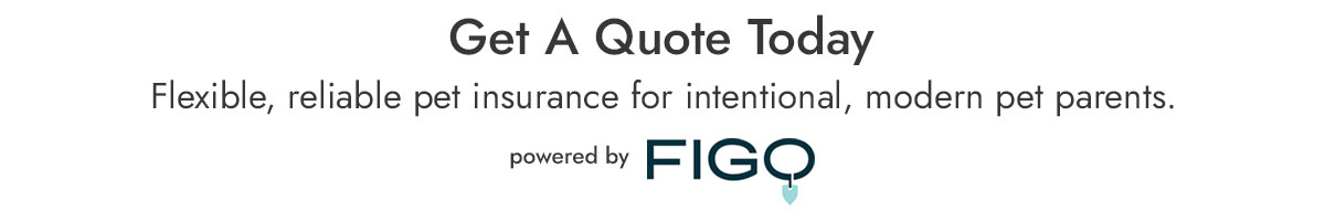 Get a quote with FIGO today