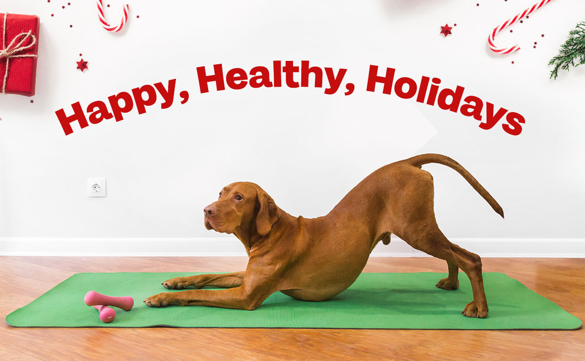 Happy Healthy Holidays
