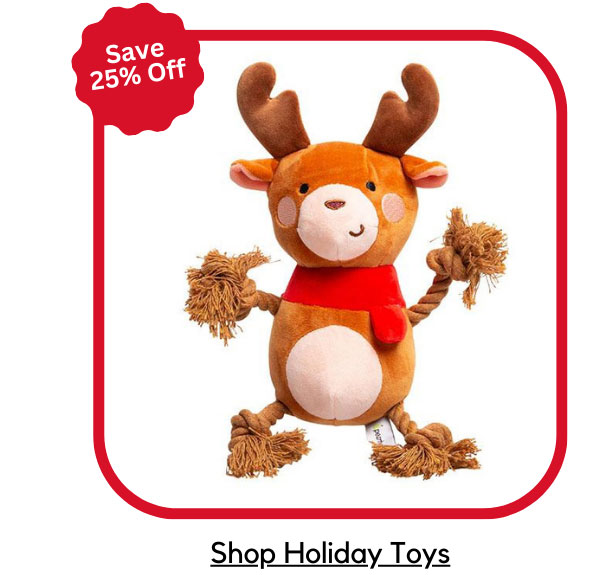 Holiday Toys