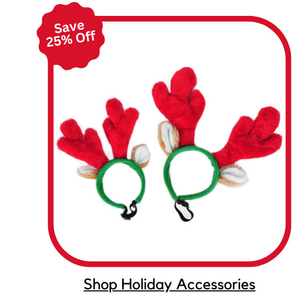 Holiday Accessories