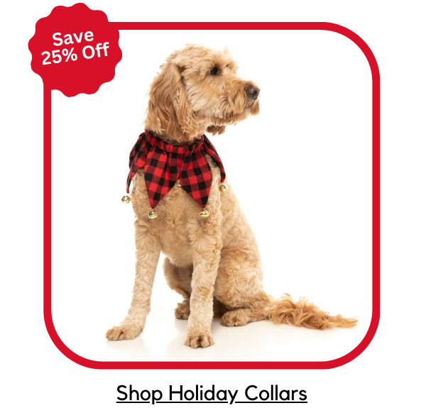Holiday Collars