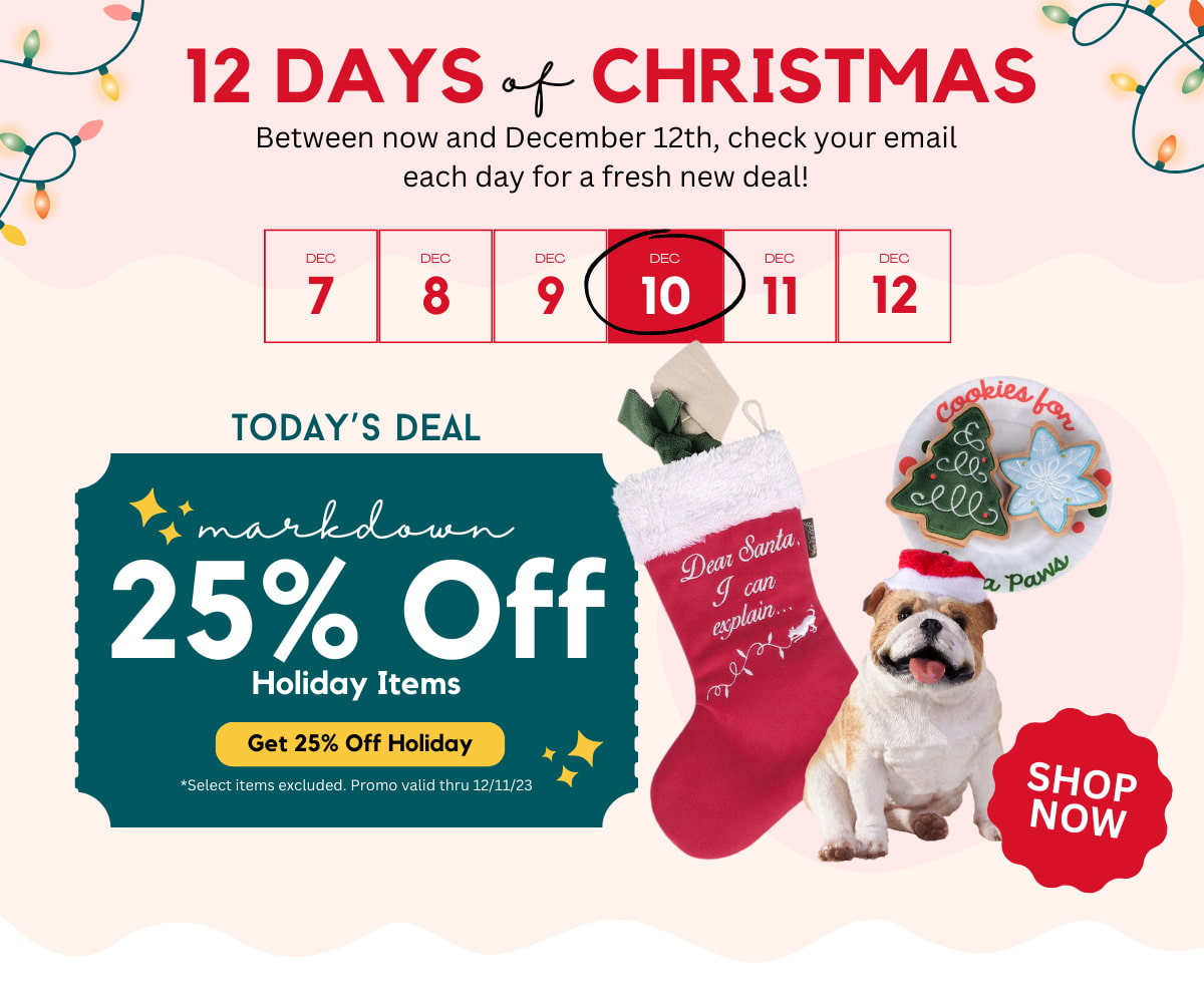 25% Off Holiday Items