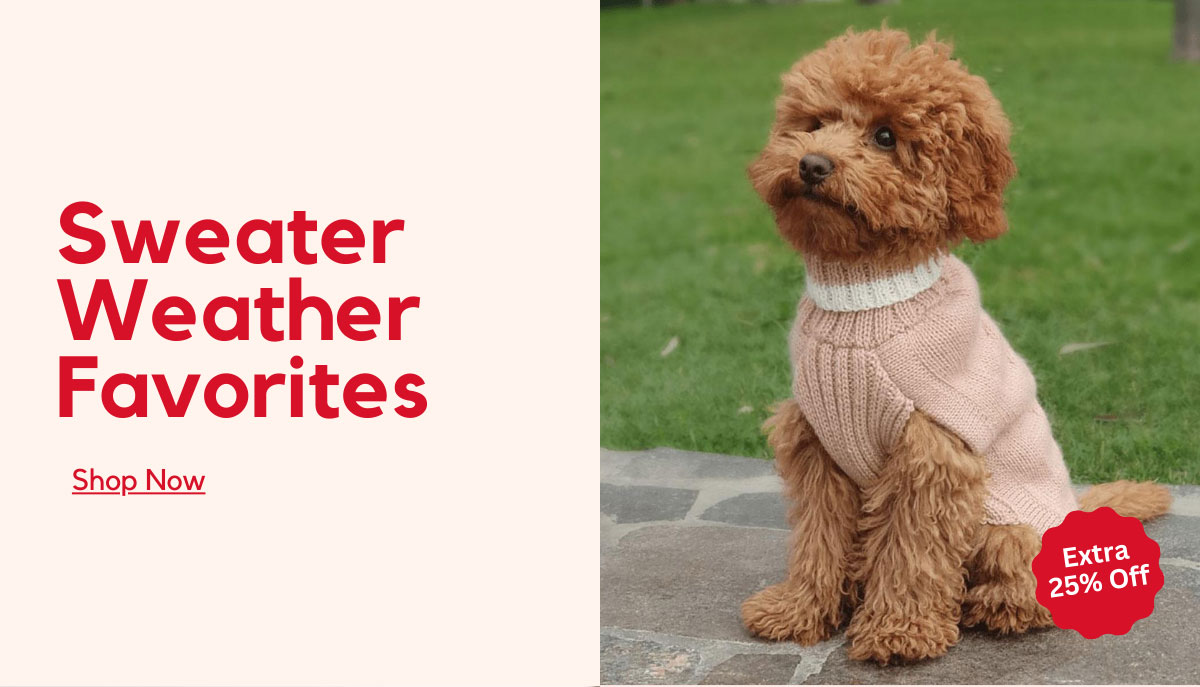 Sweater Weather