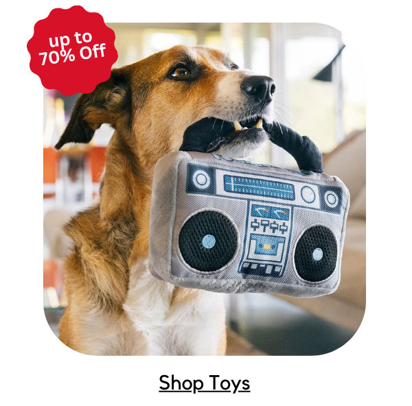 Shop Toys