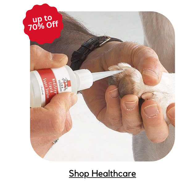 Shop Healthcare