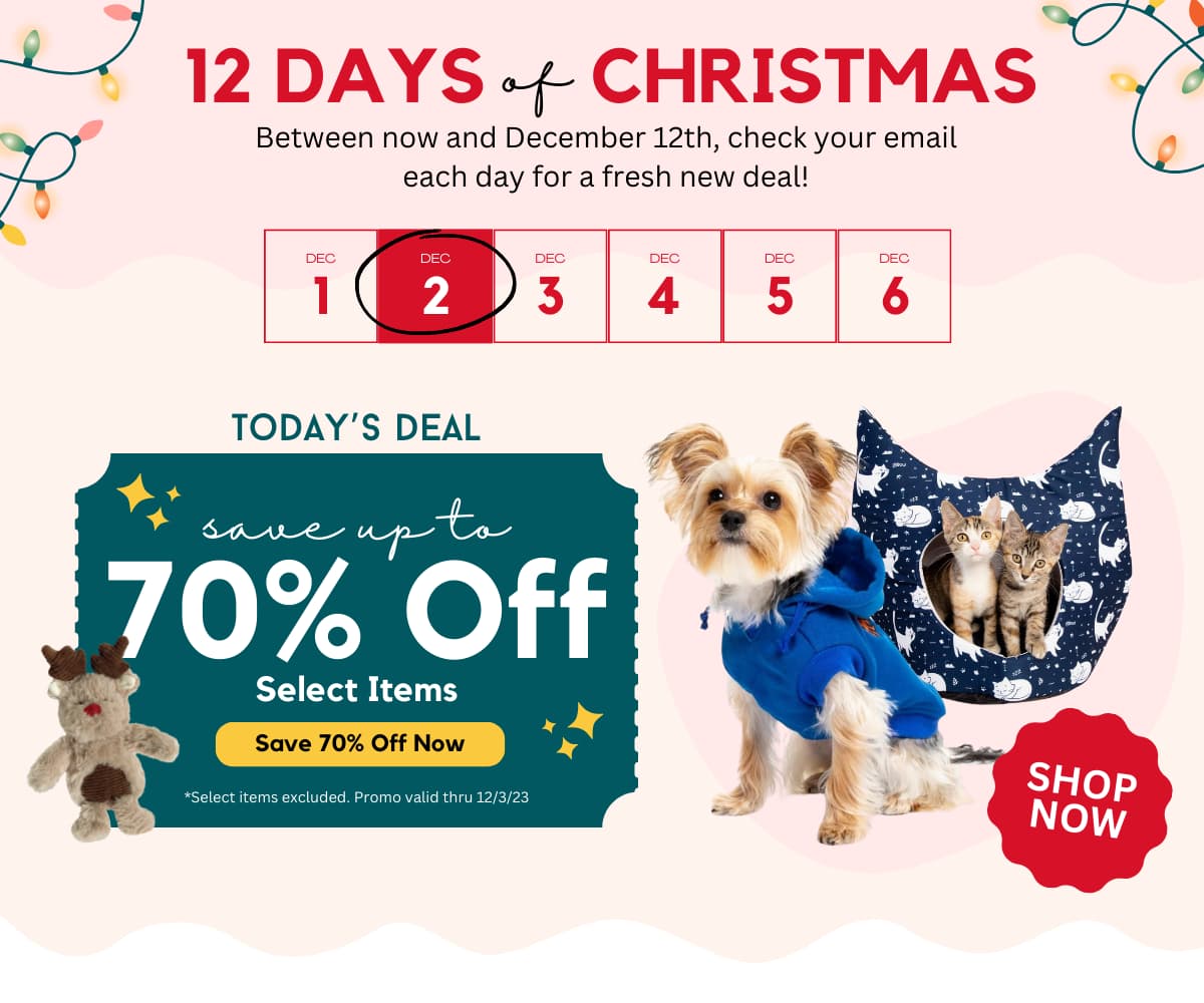 12 Days of Christmas