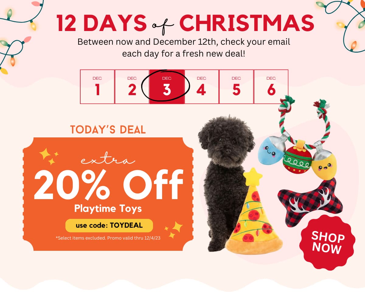 12 Days of Christmas